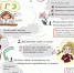 Районный конкурс среди детей и юношества на лучшую разработку с использованием информационных технологий - Управление образования