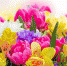 image-07-03-24-10-11 - Центр соцобслуживания населения