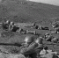 25 июля 1942 года началась битва за Кавказ - Военно-исторический музей