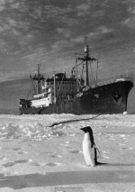 70 лет назад советские полярники высадились в Антарктиде